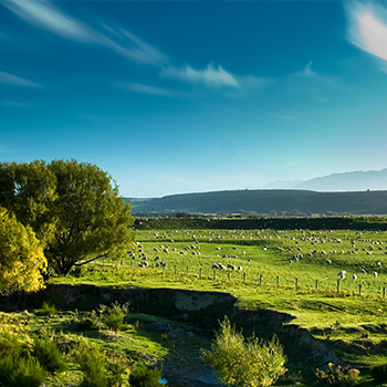 U乐·国际(中国)官方网站