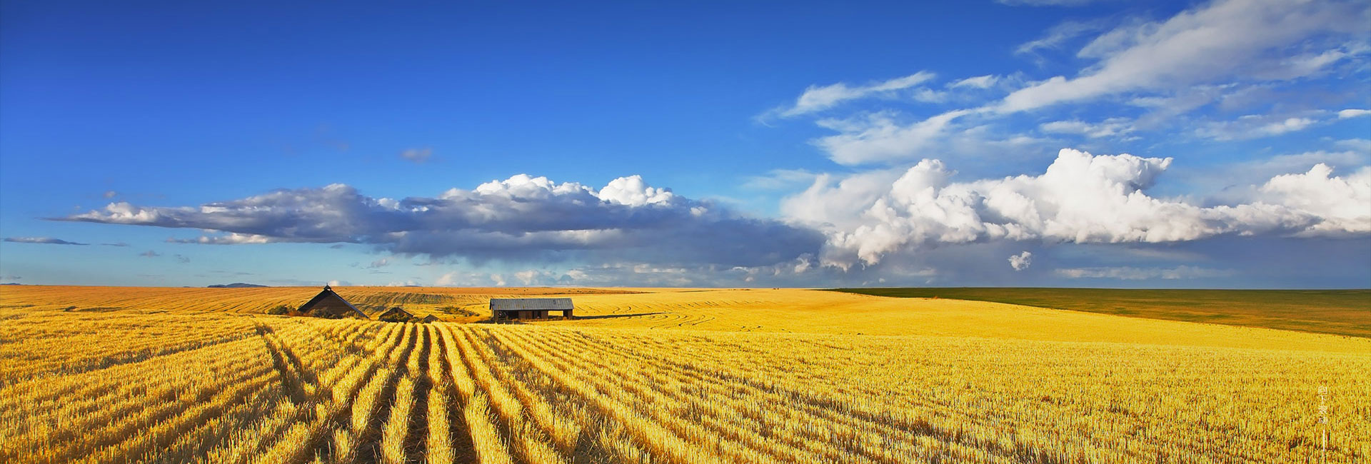 u乐国际官网介绍