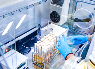 U乐·国际(中国)官方网站